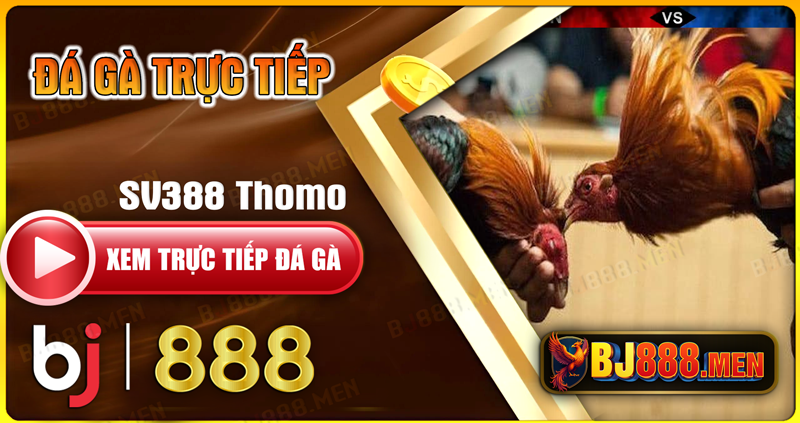 Đá Gà Mạng Là Gì? Mẹo Chiến Thắng Từ Các Cao Thủ Những Ưu Điểm Nổi Bật Của Đá Gà Trực Tuyến