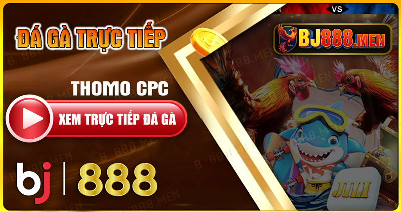 Đá gà trực tiếp - thomo cpc1 đến cpc5 hôm nay