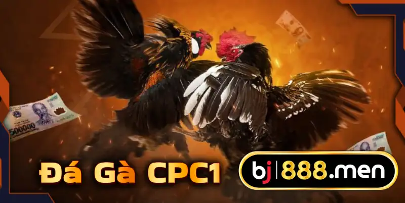 BJ888 Đăng Nhập | Tải App Đá Gà Cựa Sắt, Casino, Thể Thao Online Hướng dẫn chi tiết đăng nhập vào BJ888