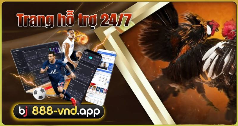 BJ888 Live Đá Gà – Trực Tiếp Hôm Nay, Đăng Nhập Tặng 888K BJ888 - Đá Gà Trực Tiếp - BJ888 Đăng nhập nhận 888K