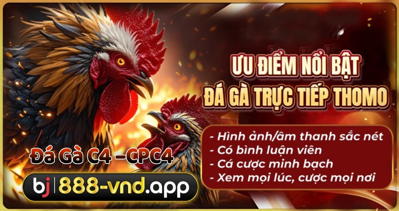 BJ888 Đăng Nhập | Tải App Đá Gà Cựa Sắt, Casino, Thể Thao Online BJ888 Đăng nhập bj88, nhận ngay 888k khi đăng ký TVM