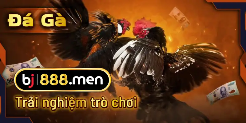 BJ888 Đăng Nhập | Tải App Đá Gà Cựa Sắt, Casino, Thể Thao Online Trải nghiệm Trò chơi tại BJ888