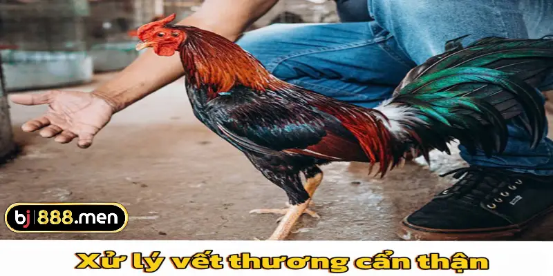 Xử lý vết thương cẩn thận 