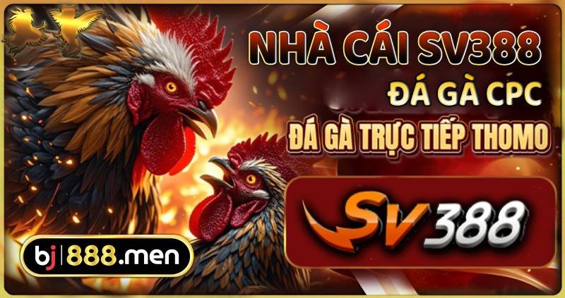 SV388 – Thương Hiệu Lâu Năm, Hơi Thiên Về Truyền Thống