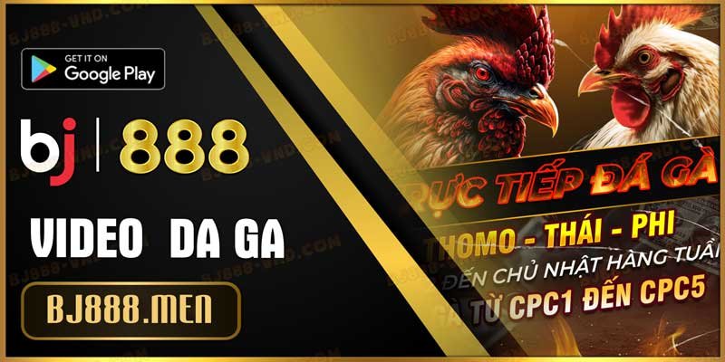 Thông tin nhà cái đá gà BJ888, BJ88 đối tác chính với e2bet, ga888, winmax vmax,