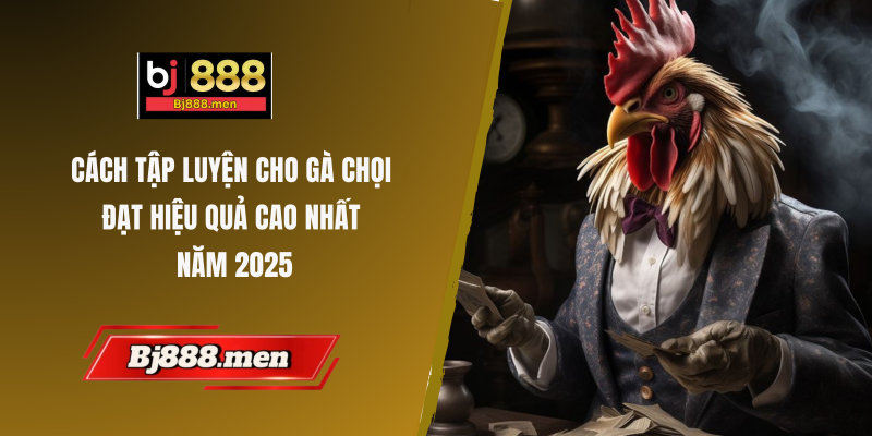Cách tập luyện cho gà chọi đạt hiệu quả