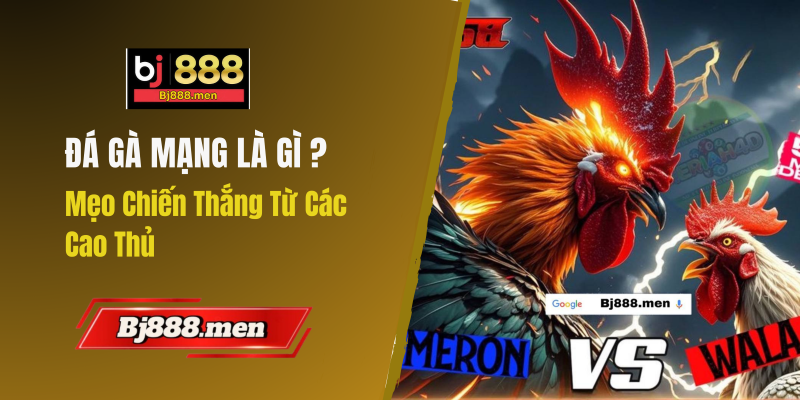 đá gà mạng là gì