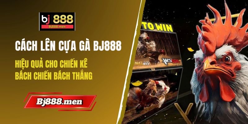 cách lên cựa gà bj888