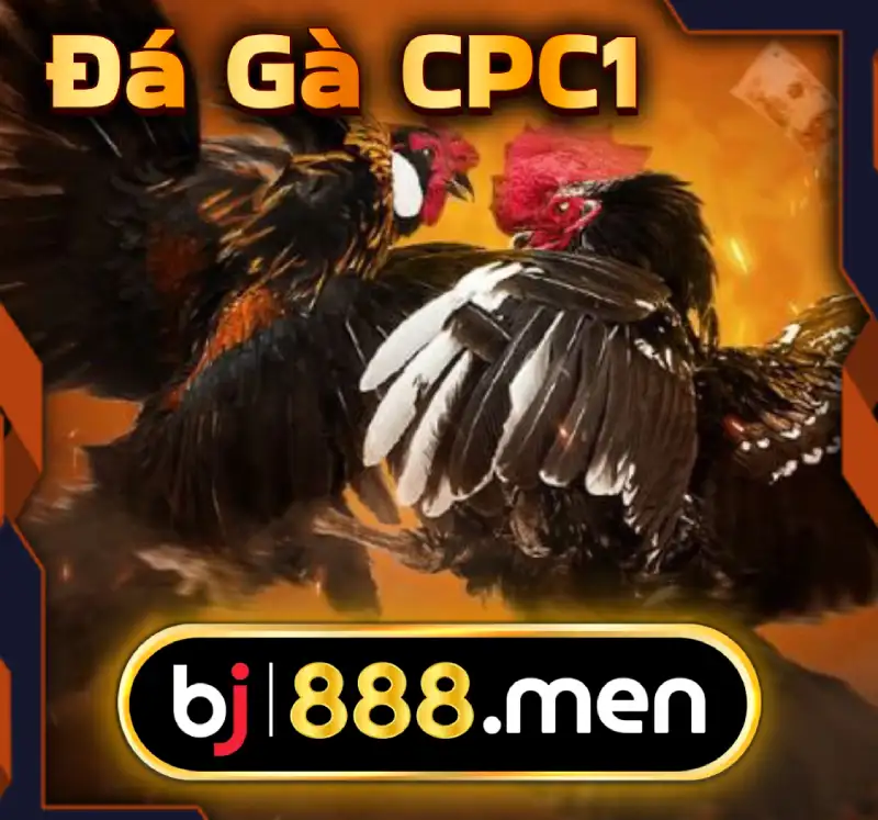 BJ888 - Đá Gà Trực Tiếp - BJ888 Đăng nhập nhận 888K