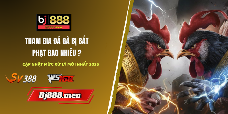 đá gà bị bắt phạt bao nhiêu