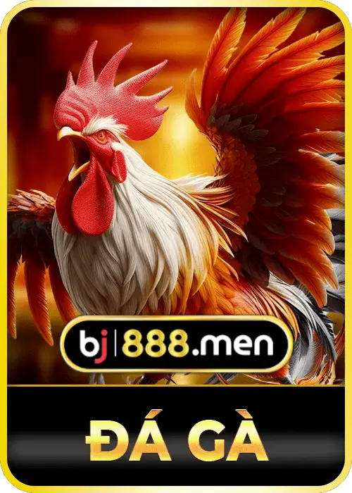 BJ888-Da-ga