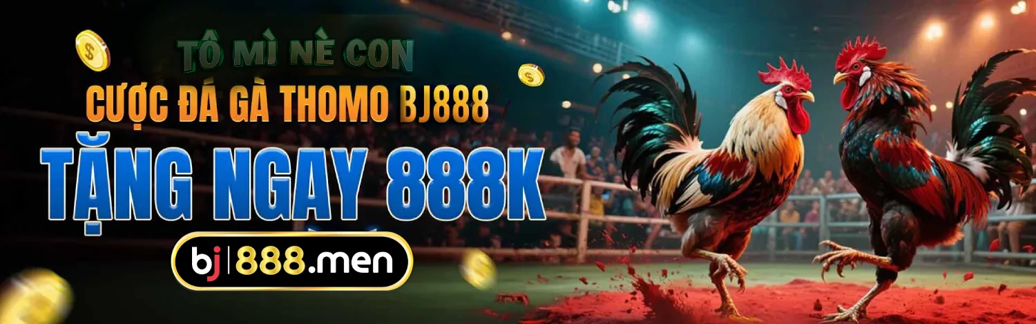 Đá Gà Trực Tiếp - BJ888