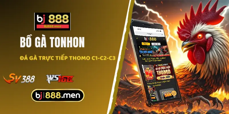 Giới thiệu bồ gà Tonhon