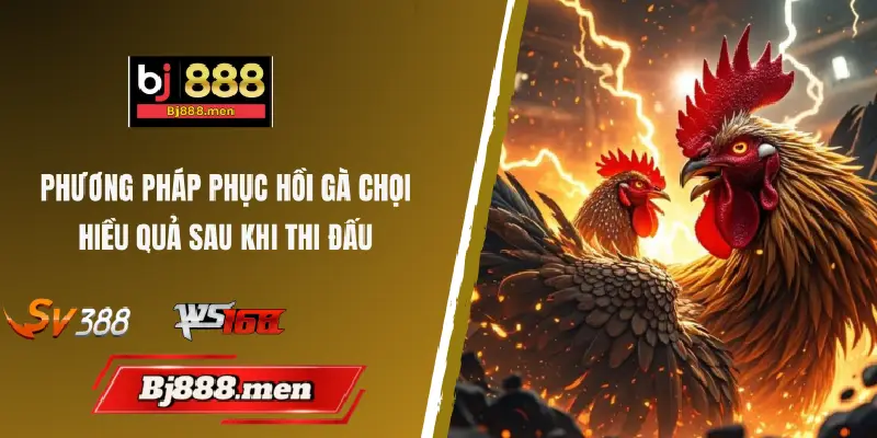 phương pháp phục hồi gà chọi sau khi thi đấu