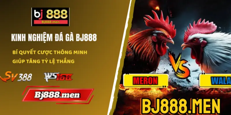 kinh nghiem da ga bj888